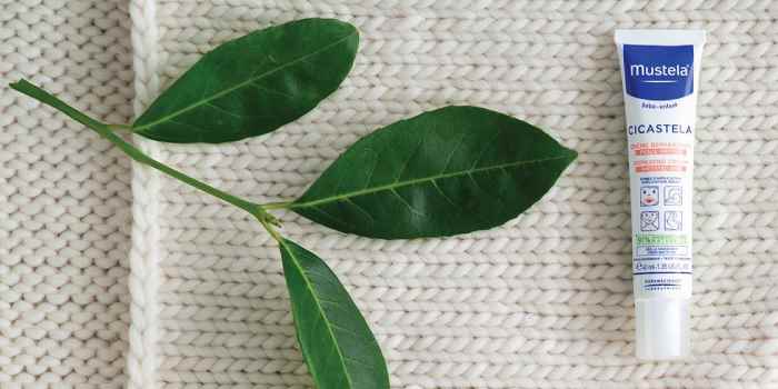 cicastela mustela